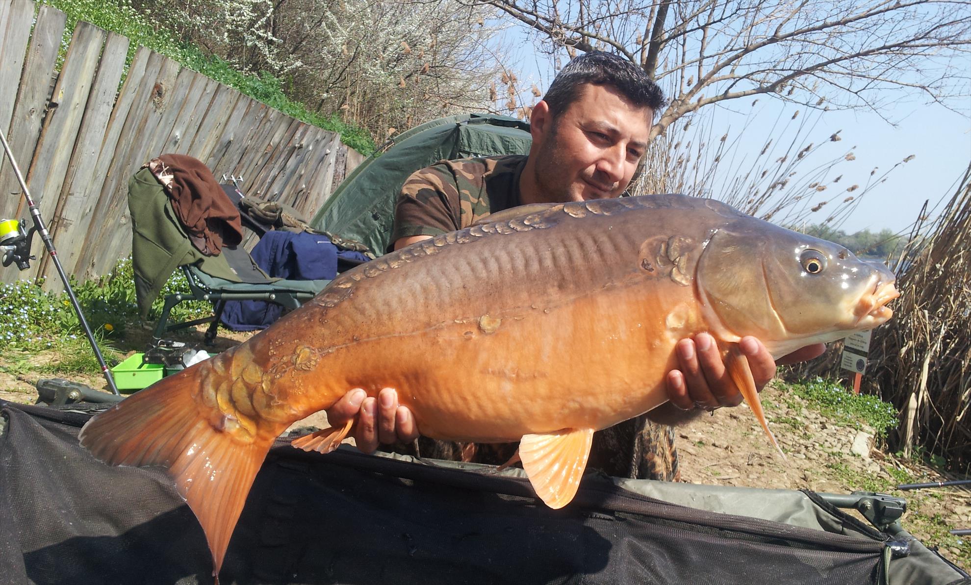 Tancabesti 28 - 29 mar. - 20140329120751.jpg